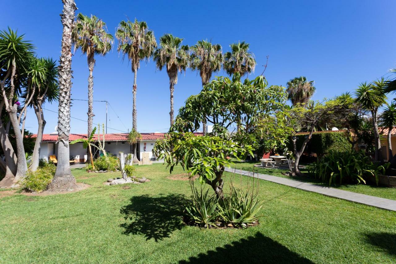 Finca La Gaviota - Las Palmeras Icod De Los Vinos Buitenkant foto