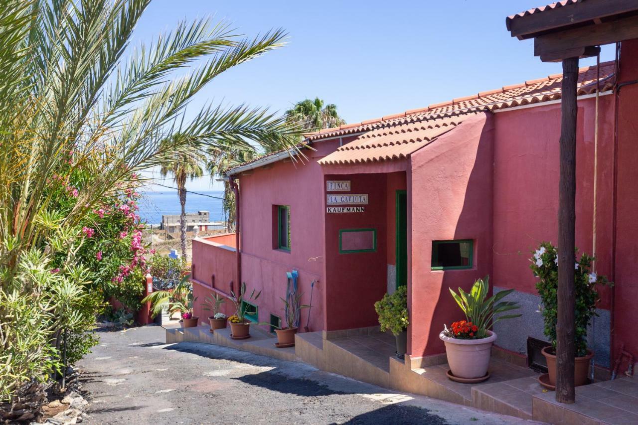 Finca La Gaviota - Las Palmeras Icod De Los Vinos Buitenkant foto